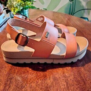 REEF High Buckle